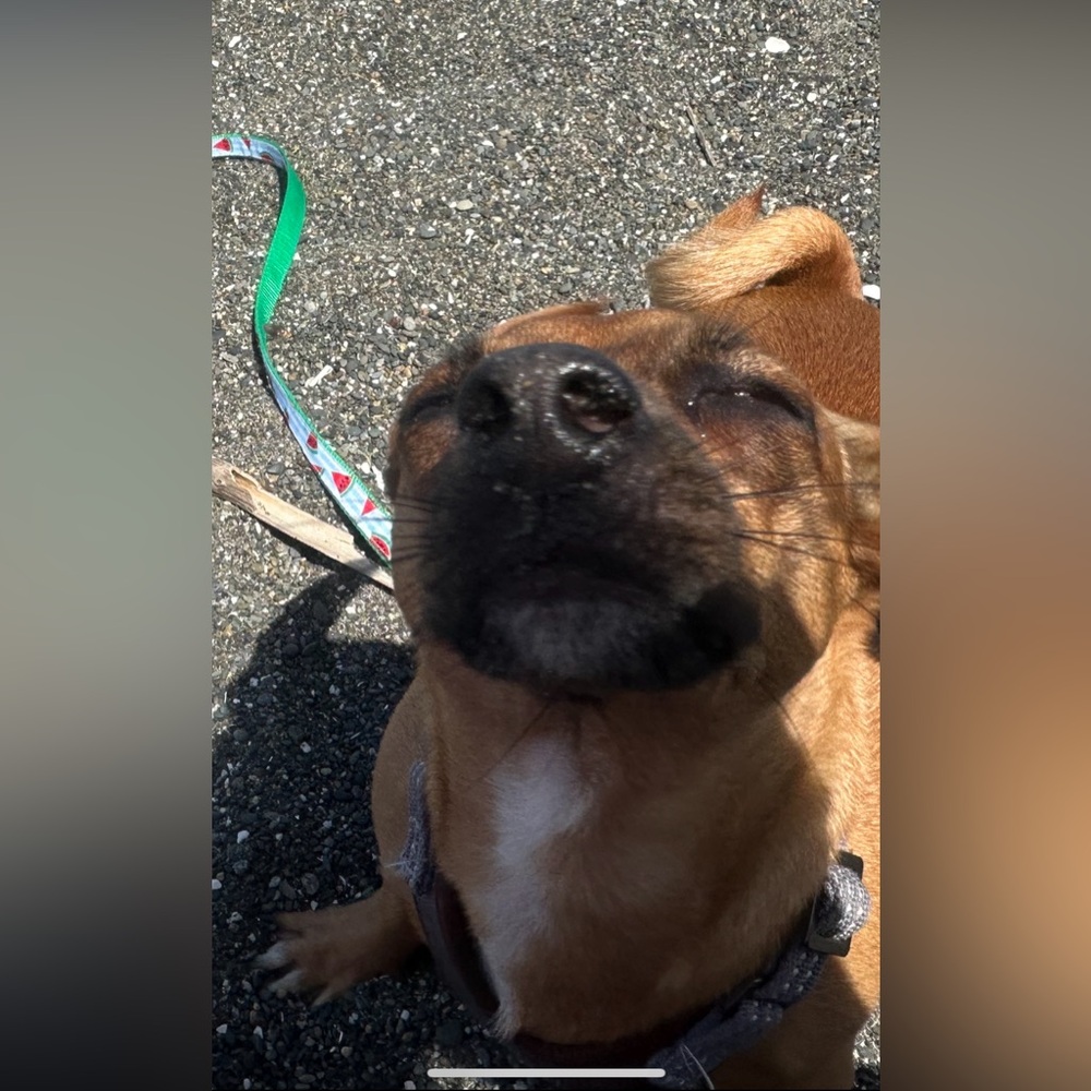 Meet your Posher, Jettane